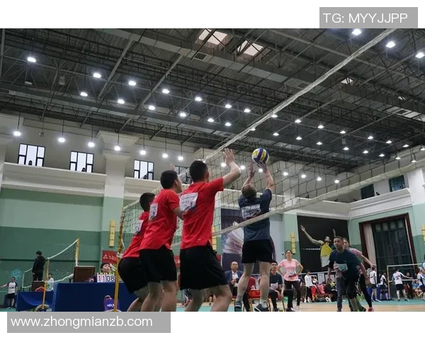 成都排球队选拔赛精彩点评展现团队节奏与个人表现的完美结合